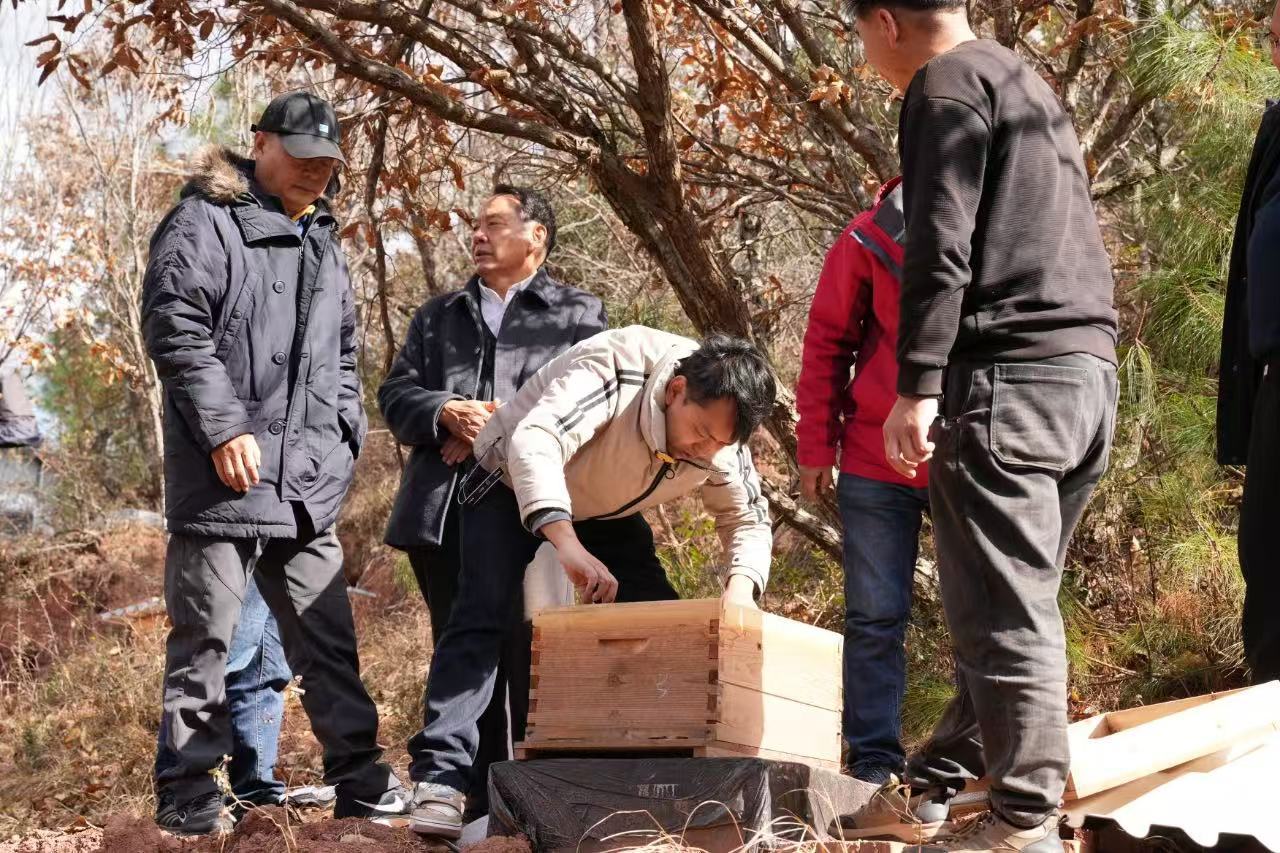 蜂业专家深入姚安(ān)县中(zhōng)蜂示范场考察和指导工(gōng)作(zuò)